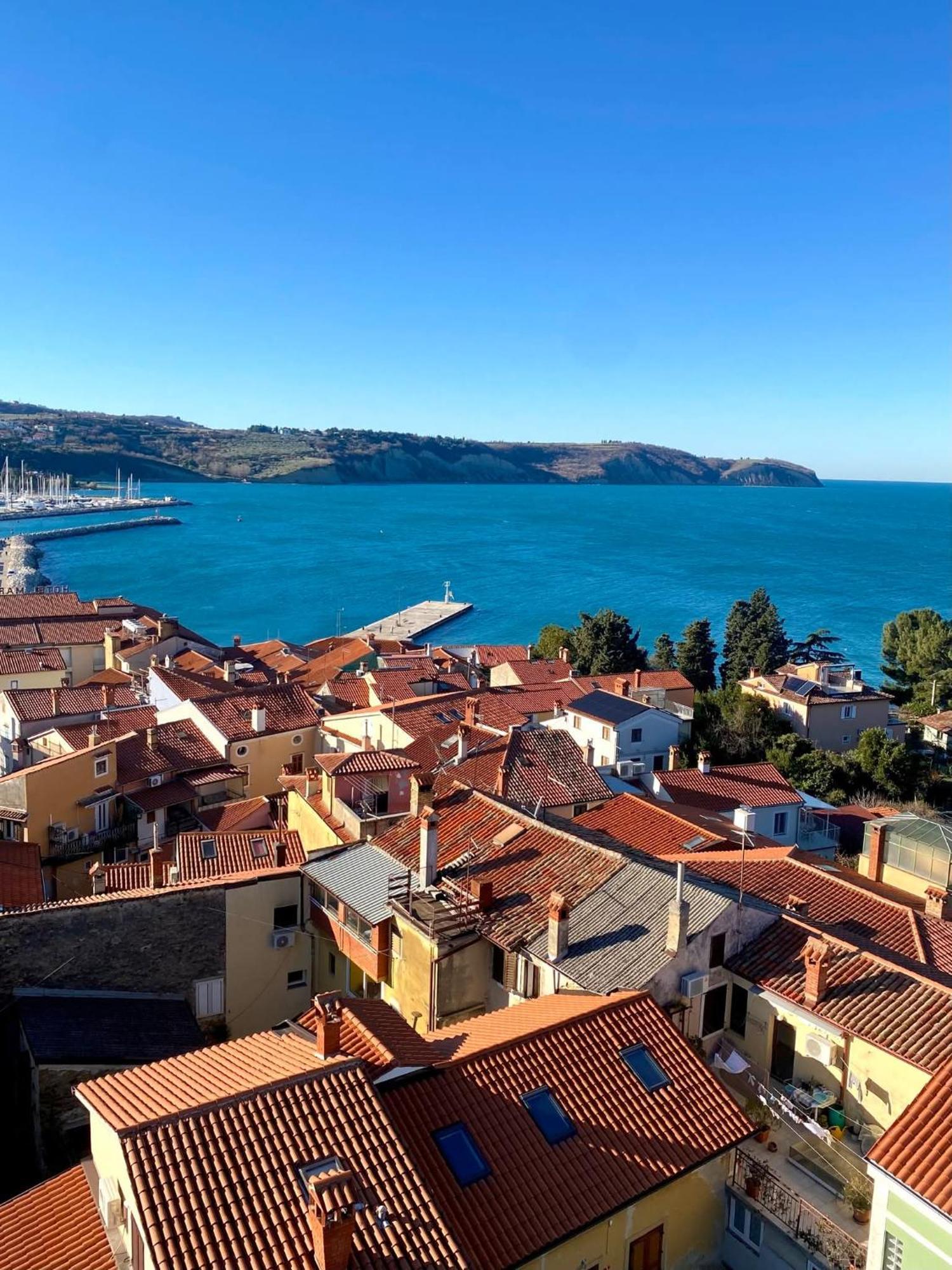 Apartma Rea Izola, Pergola & Terassa, Parking Δωμάτιο φωτογραφία
